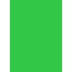   Colorama Colormatt 100 x 130 cm Spring Green PVC háttér (LLCO7100)