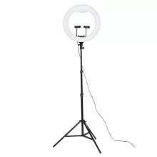 "Vlog-fény"-Jinbei EFR-48 LED körlámpa állvánnyal