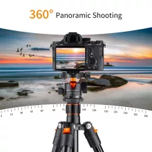 K&F Concept K234A1+BH-28L állvány, 156cm magasság, 10kg teherbírás (KF-09-080V1)