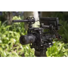 RODE VIDEOMIC NTG4 PROFESSZIONÁLIS RÖVID PUSKAMIKROFON (NTG4)