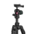   Manfrotto Befree karbon állvány tekerős zár + gömbfej Arca Swiss (MKBFRTC4FB-BH)